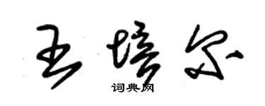 朱锡荣王培尔草书个性签名怎么写