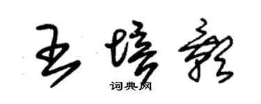 朱锡荣王培影草书个性签名怎么写