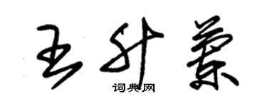 朱锡荣王升兰草书个性签名怎么写