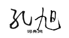 骆恒光孔旭草书个性签名怎么写