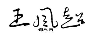 曾庆福王风超草书个性签名怎么写