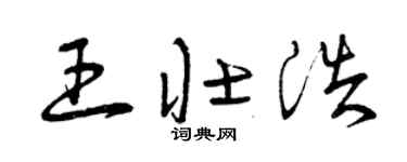 曾庆福王壮浩草书个性签名怎么写