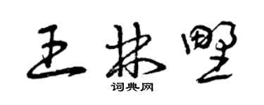 曾庆福王林野草书个性签名怎么写