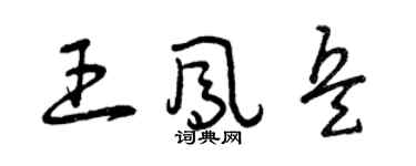 曾庆福王凤兵草书个性签名怎么写