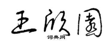 曾庆福王欣园草书个性签名怎么写