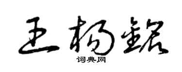 曾庆福王杨铭草书个性签名怎么写