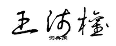 曾庆福王沛权草书个性签名怎么写