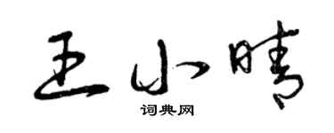 曾庆福王小晴草书个性签名怎么写