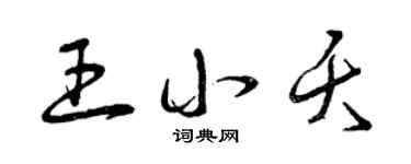 曾庆福王小夭草书个性签名怎么写