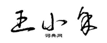 曾庆福王小余草书个性签名怎么写