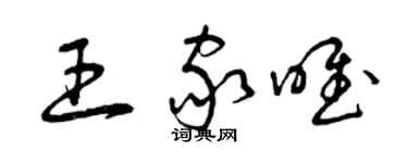 曾庆福王家唯草书个性签名怎么写