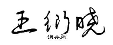 曾庆福王衍晓草书个性签名怎么写