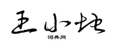 曾庆福王小地草书个性签名怎么写