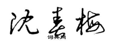 曾庆福沈春梅草书个性签名怎么写