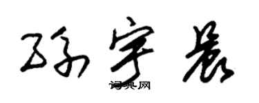 朱锡荣孙宇晨草书个性签名怎么写