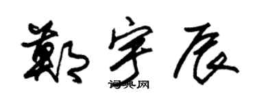 朱锡荣郑宇辰草书个性签名怎么写