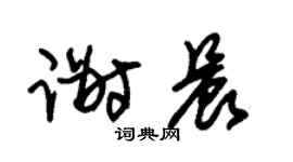 朱锡荣谢晨草书个性签名怎么写