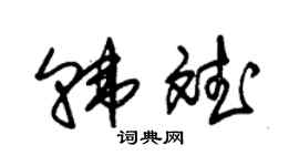 朱锡荣韩斌草书个性签名怎么写