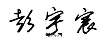 朱锡荣彭宇宸草书个性签名怎么写