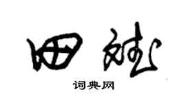 朱锡荣田斌草书个性签名怎么写