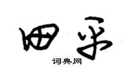 朱锡荣田平草书个性签名怎么写