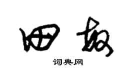 朱锡荣田敏草书个性签名怎么写