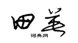 朱锡荣田英草书个性签名怎么写