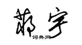 朱锡荣蒋宇草书个性签名怎么写