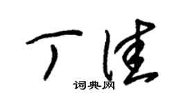 朱锡荣丁佳草书个性签名怎么写