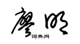 朱锡荣廖明草书个性签名怎么写