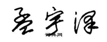 朱锡荣孟宇泽草书个性签名怎么写