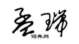 朱锡荣孟瑞草书个性签名怎么写