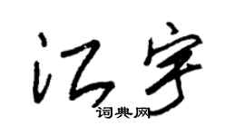 朱锡荣江宇草书个性签名怎么写