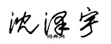 朱锡荣沈泽宇草书个性签名怎么写