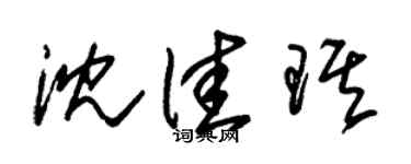 朱锡荣沈佳琪草书个性签名怎么写