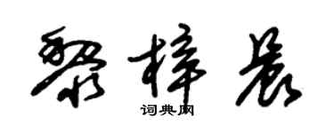 朱锡荣黎梓晨草书个性签名怎么写