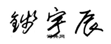 朱锡荣钱宇辰草书个性签名怎么写