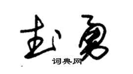 朱锡荣武勇草书个性签名怎么写