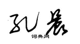 朱锡荣孔晨草书个性签名怎么写