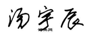 朱锡荣汤宇辰草书个性签名怎么写