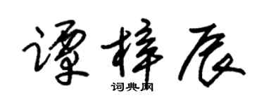 朱锡荣谭梓辰草书个性签名怎么写