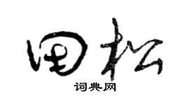 曾庆福田松草书个性签名怎么写