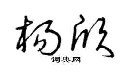 曾庆福杨欣草书个性签名怎么写