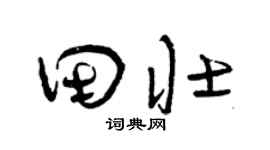 曾庆福田壮草书个性签名怎么写