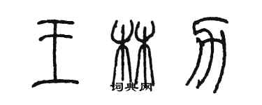 陈墨王林力篆书个性签名怎么写