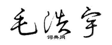 曾庆福毛浩宇草书个性签名怎么写