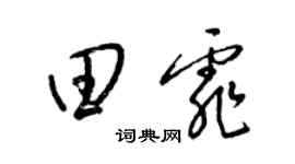 梁锦英田霏草书个性签名怎么写