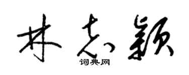 梁锦英林志颖草书个性签名怎么写