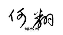 梁锦英何翻草书个性签名怎么写