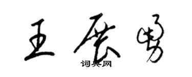 梁锦英王展勇草书个性签名怎么写